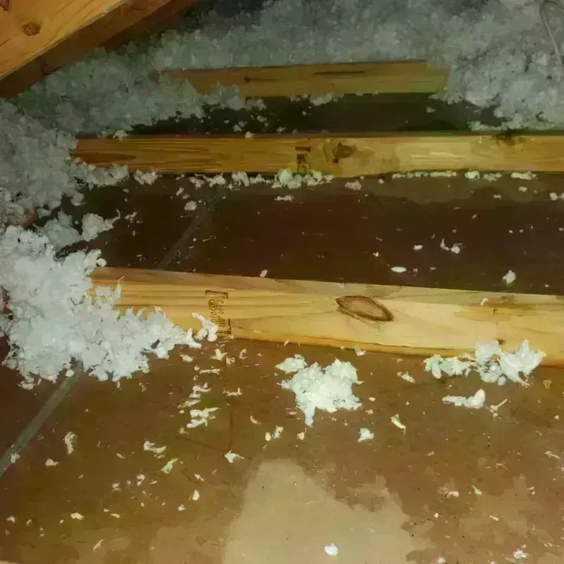 Attic Water Damage in Poseyville, IN